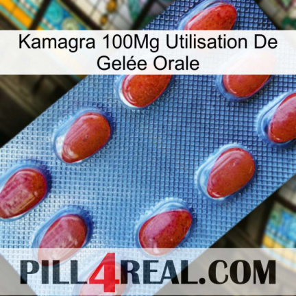 Kamagra 100Mg Utilisation De Gelée Orale 06